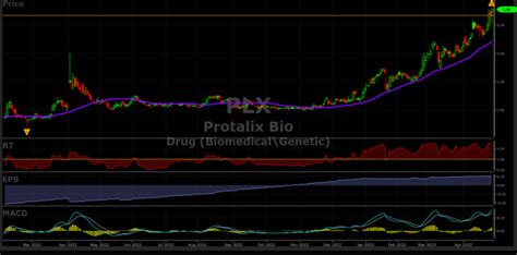 pjlxx stock